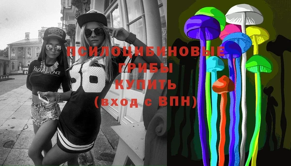 дмт Кукмор