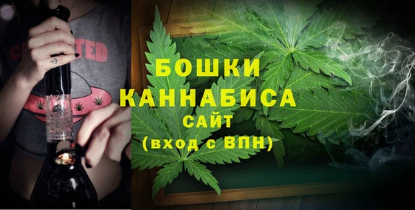 гидра Костерёво