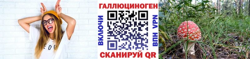 Псилоцибиновые грибы прущие грибы это состав Палласовка